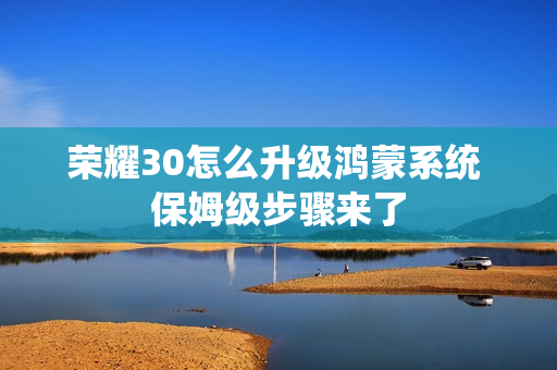 荣耀30怎么升级鸿蒙系统 保姆级步骤来了