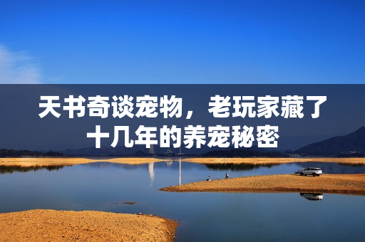 天书奇谈宠物，老玩家藏了十几年的养宠秘密