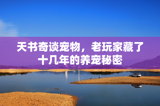 天书奇谈宠物，老玩家藏了十几年的养宠秘密