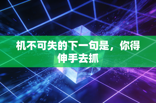 机不可失的下一句是，你得伸手去抓