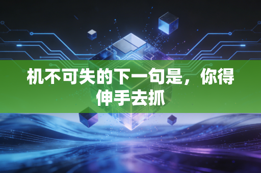 机不可失的下一句是，你得伸手去抓