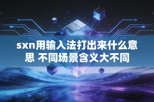 sxn用输入法打出来什么意思 不同场景含义大不同