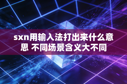 sxn用输入法打出来什么意思 不同场景含义大不同