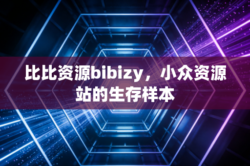 比比资源bibizy，小众资源站的生存样本
