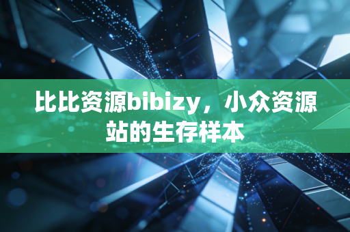 比比资源bibizy，小众资源站的生存样本
