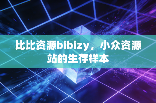 比比资源bibizy，小众资源站的生存样本