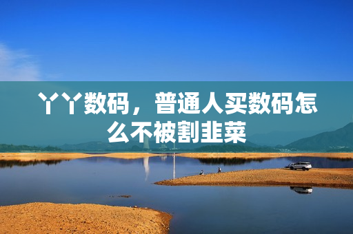丫丫数码，普通人买数码怎么不被割韭菜