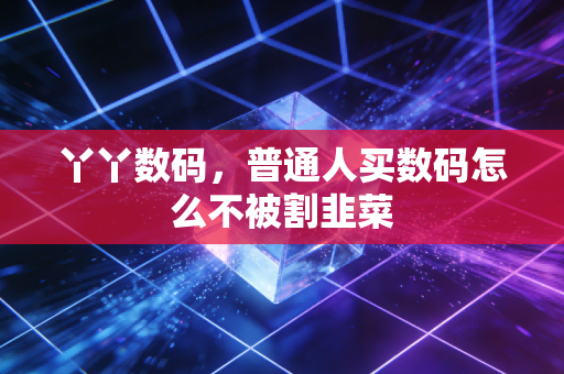 丫丫数码，普通人买数码怎么不被割韭菜