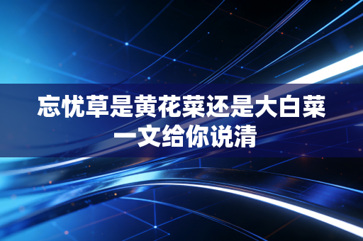 忘忧草是黄花菜还是大白菜 一文给你说清