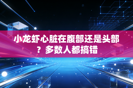小龙虾心脏在腹部还是头部？多数人都搞错