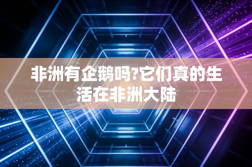 非洲有企鹅吗?它们真的生活在非洲大陆