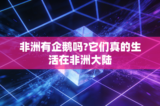 非洲有企鹅吗?它们真的生活在非洲大陆
