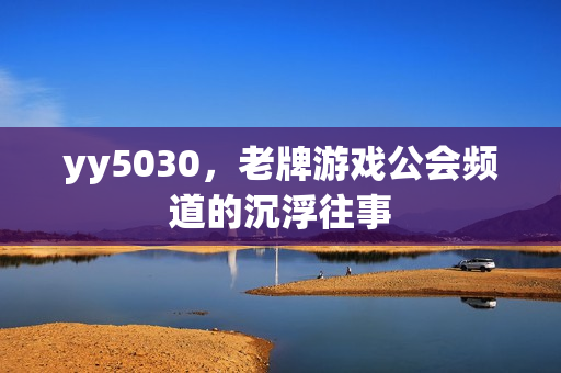 yy5030，老牌游戏公会频道的沉浮往事