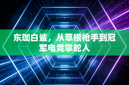 东珈白鲨，从草根枪手到冠军电竞掌舵人