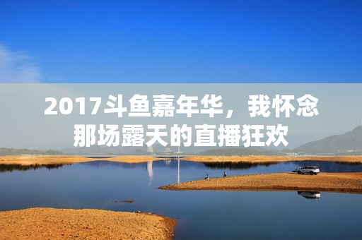 2017斗鱼嘉年华，我怀念那场露天的直播狂欢