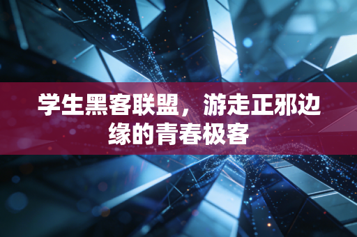 学生黑客联盟，游走正邪边缘的青春极客