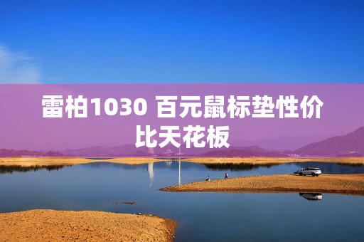 雷柏1030 百元鼠标垫性价比天花板