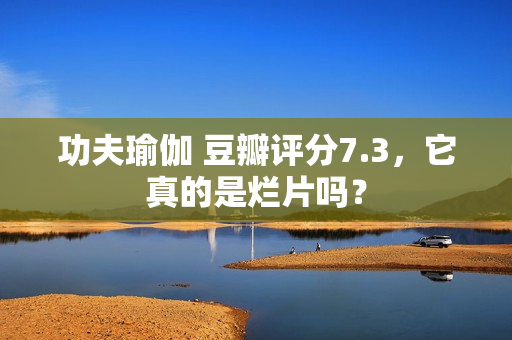 功夫瑜伽 豆瓣评分7.3,它真的是烂片吗?