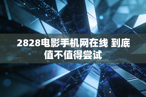 2828电影手机网在线 到底值不值得尝试