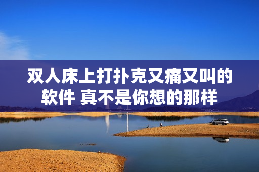 双人床上打扑克又痛又叫的软件 真不是你想的那样