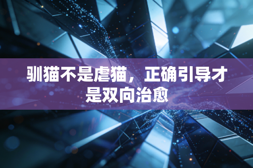 驯猫不是虐猫，正确引导才是双向治愈