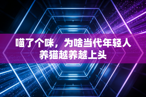 喵了个咪，为啥当代年轻人养猫越养越上头