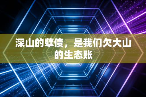 深山的孽债，是我们欠大山的生态账