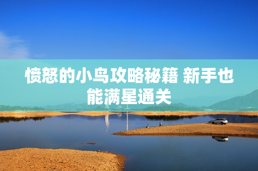 愤怒的小鸟攻略秘籍 新手也能满星通关