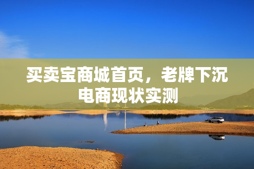 买卖宝商城首页,老牌下沉电商现状实测