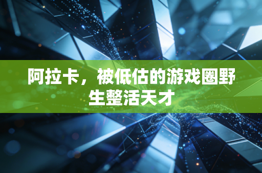 阿拉卡，被低估的游戏圈野生整活天才