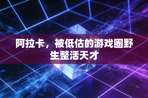 阿拉卡，被低估的游戏圈野生整活天才