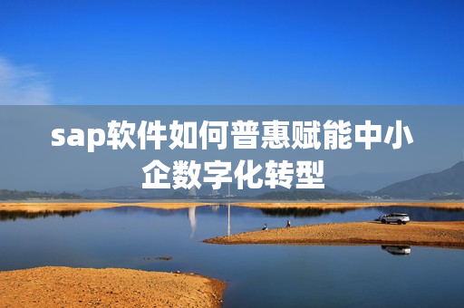 sap软件如何普惠赋能中小企数字化转型