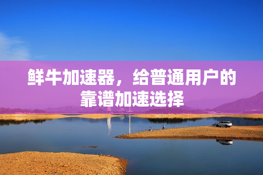 鲜牛加速器,给普通用户的靠谱加速选择