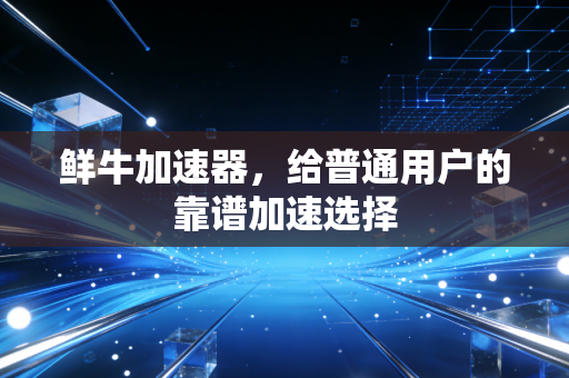 鲜牛加速器,给普通用户的靠谱加速选择
