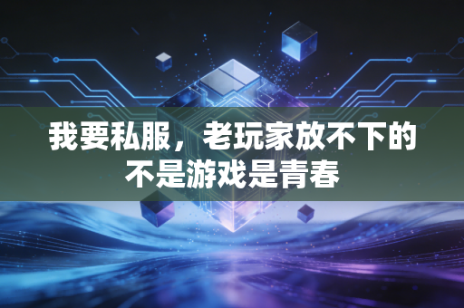 我要私服，老玩家放不下的不是游戏是青春