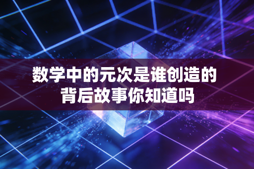 数学中的元次是谁创造的 背后故事你知道吗
