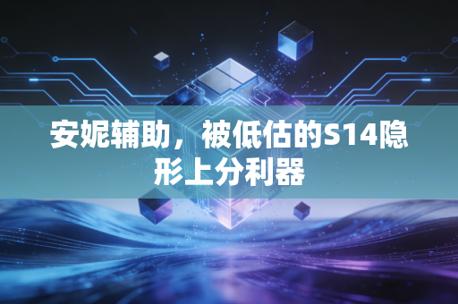 安妮辅助，被低估的S14隐形上分利器