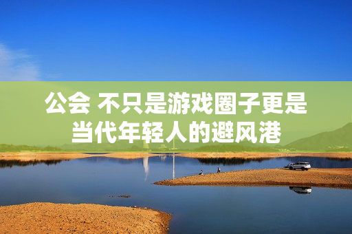 公会 不只是游戏圈子更是当代年轻人的避风港