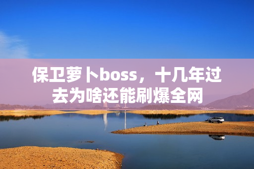 保卫萝卜boss，十几年过去为啥还能刷爆全网
