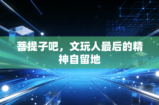 菩提子吧，文玩人最后的精神自留地