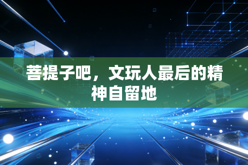 菩提子吧，文玩人最后的精神自留地