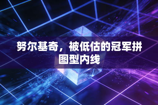 努尔基奇，被低估的冠军拼图型内线