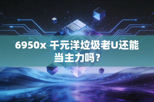 6950x 千元洋垃圾老U还能当主力吗?
