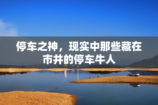 停车之神，现实中那些藏在市井的停车牛人