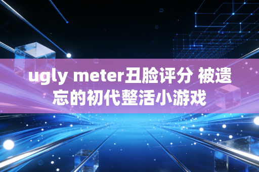 ugly meter丑脸评分 被遗忘的初代整活小游戏
