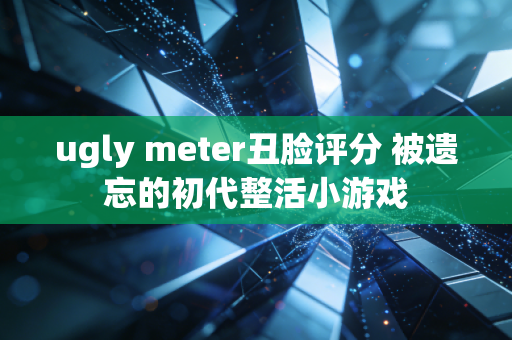 ugly meter丑脸评分 被遗忘的初代整活小游戏