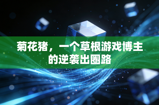 菊花猪，一个草根游戏博主的逆袭出圈路