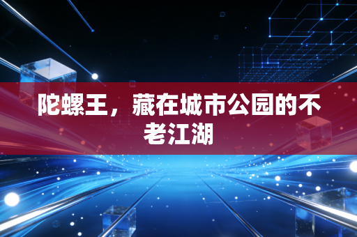 陀螺王，藏在城市公园的不老江湖
