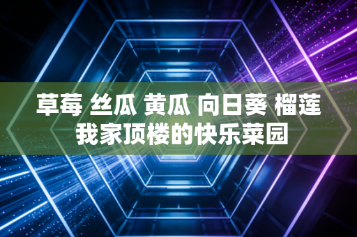 草莓 丝瓜 黄瓜 向日葵 榴莲 我家顶楼的快乐菜园
