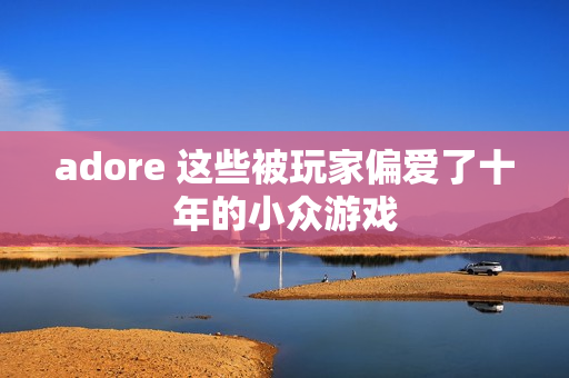 adore 这些被玩家偏爱了十年的小众游戏